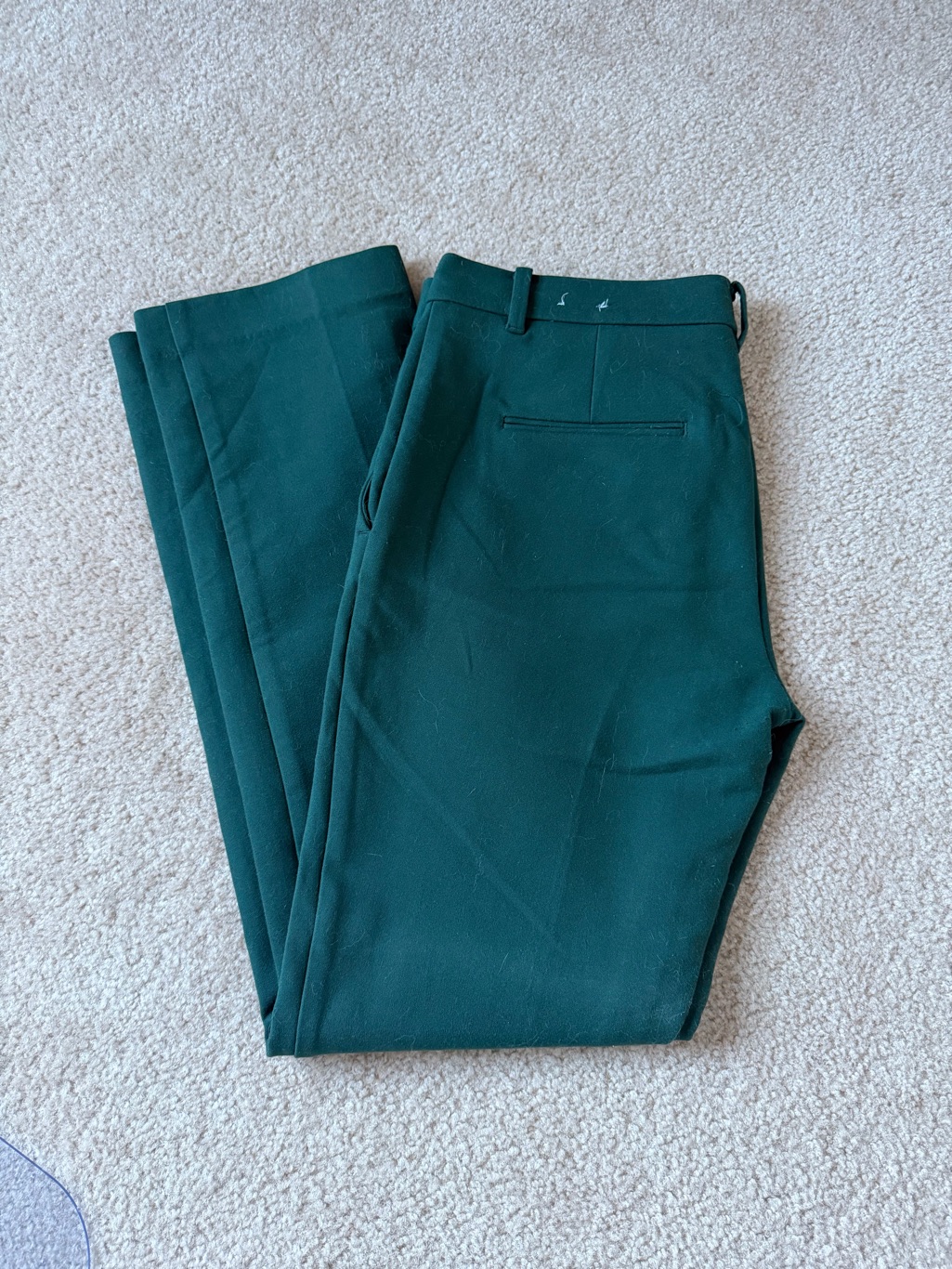 Ann Taylor Womenâs Green Trouser/Dress Pants